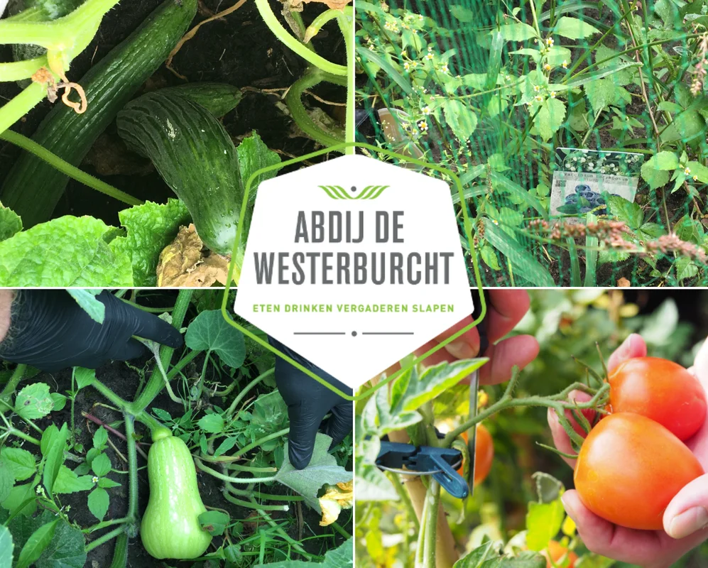 Abdij de Westerburcht: Sustainable accomodation in Drenthe