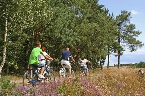 fietsen in Drenthe