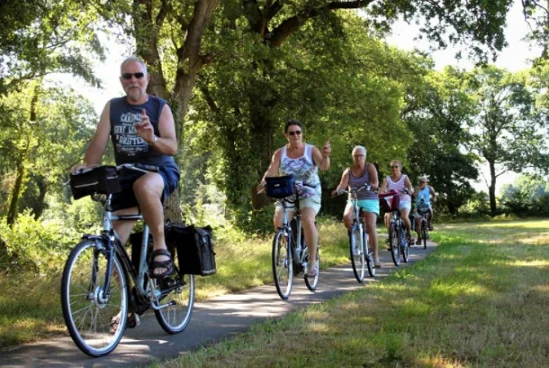 Hotel fietsen Drenthe | Heerlijk genieten van de rust in Drenthe