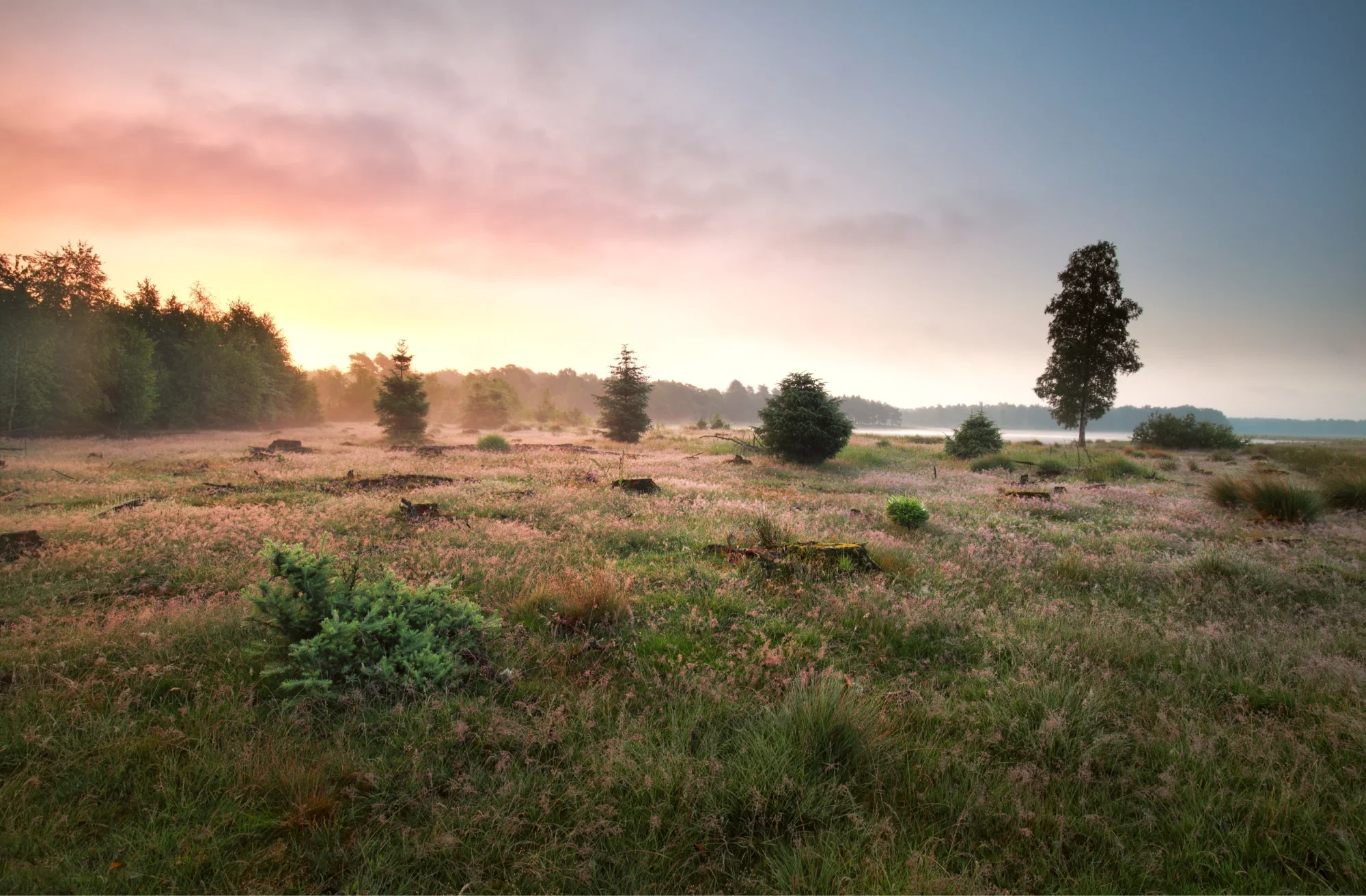 Nationaal Park Drenthe | Gaat u ze alle 3 bezoeken?